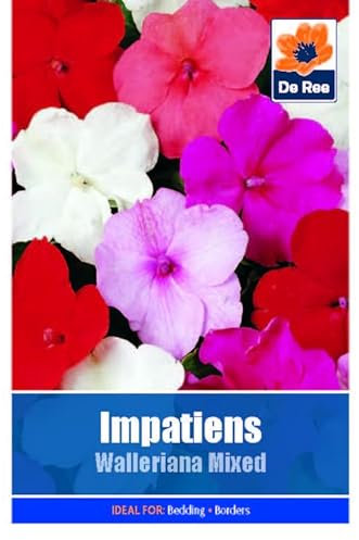 Flower Seeds Impatiens Walleriana Mixed - 95 Seeds Packet Plant Bedding Borders Containers Pots Grow Your Own Garden Plant Seed