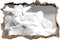 KAIASH 3D Wandsticker Wunderschöne weiße Calla Lilien Kunst Wanddurchbruch im 3D Look Wand oder Türaufkleber Wandsticker Wandtattoo Wanddekoration 92x62cm