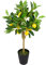 mucplants künstlicher Zitronenbaum 70cm mit 12 Zitronen getopft Topfpflanze Zitruspflanze