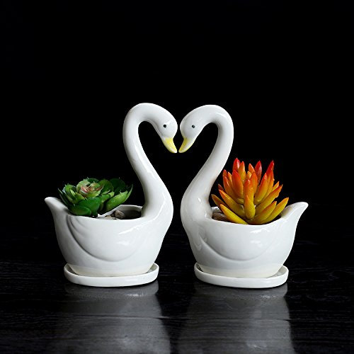 XNSHUN 2 Stück Schwanform Sukkulenten Topf, Keramik Blumentopf Kaktus Pflanze Töpfe Blumentöpfemit Untersetzer, MiniaturPflanzer Container Dekorationen Für Kaktus, Sukkulenten, Blume, Innenbereich