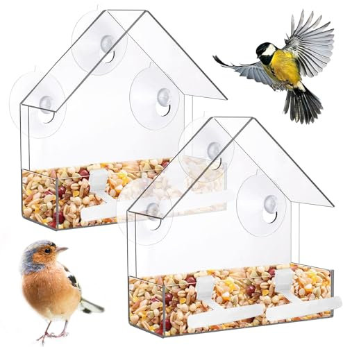 Zeqeey Mangiatoia per uccelli per finestre piccole in acrilico trasparente con ventose e palo in piedi per l'alimentazione di piccoli fringuelli selvatici pettirosso Chickadees passero