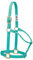 Weaver Leather Original Pferdehalfter, Nylon, Nicht verstellbar, mittelgroß, Mint