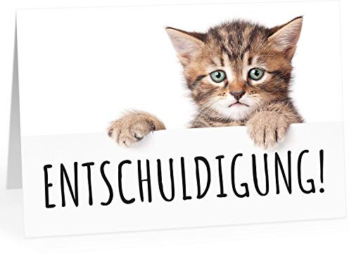 Große XXL (A4) Klappkarte mit Umschlag/Süße Katze - Entschuldigung/Sorry/Entschuldigung/Verzeih mir/Entschuldigen