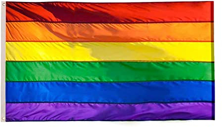Flaglink Robuste Nylon-Flagge in Regenbogenfarben, 90 x 150 cm – genähte Streifen – Gay Pride Flaggen