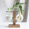 Glas-Pflanzgefäß, Blumenzwiebel-Vase, Desktop Air Plant Terrarium Kit mit Retro Massivholz Ständer, Pflanze Anzuchtstationen Terrarium for Indoor Wasserpflanzen Home Garden Office Dekoration Zubehör