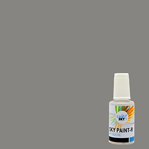 CARSKY Stylo retouche peinture carrosserie compatible avec RAL Aluminium Gris 9007 (flacon pinceau 20ml) + vernis brillant (flacon pinceau 20ml)