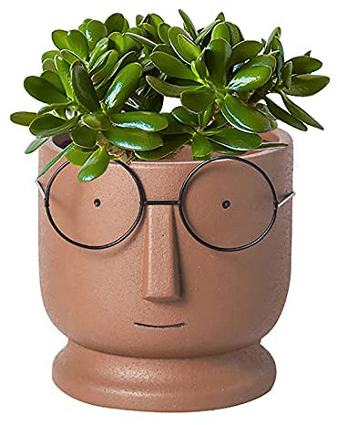 Visage Cache-pot Jardinière Ciment Pots De Fleurs,Petit Céramique Succulente Pot,Créatif Lunettes Visage Pots De Plantes Pots De Cactus Pour Accueil Bureau Mariage Décor-Marron 16.7x16.7x16.7cm(7x7x7i