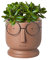 Visage Cache-pot Jardinière Ciment Pots De Fleurs,Petit Céramique Succulente Pot,Créatif Lunettes Visage Pots De Plantes Pots De Cactus Pour Accueil Bureau Mariage Décor-Marron 16.7x16.7x16.7cm(7x7x7i