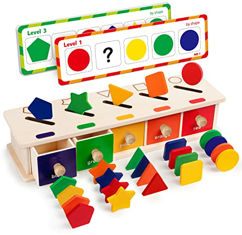 Coogam Montessori Toys Holz-Sortierbox in Farbform, geometrische passende Blöcke, frühes Lernen, pädagogisches Spielzeug, Geschenk für 3 4 5 Jahre alte Babys und Kleinkinder