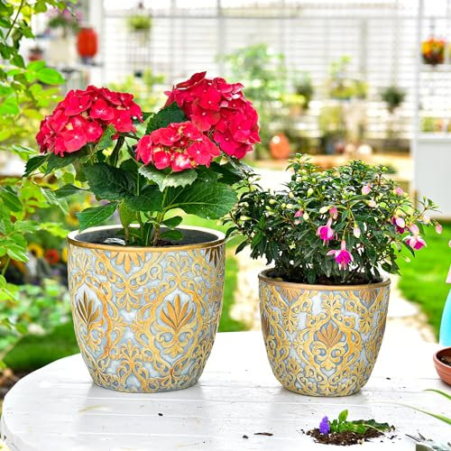 Sungmor Grandi fioriere in cemento resistenti, bellissimi vasi da giardino in cemento goffrato, 20,3 cm e 25,4 cm, set di 2 vasi per piante con foro di drenaggio, vasi da fiori decorativi per interni