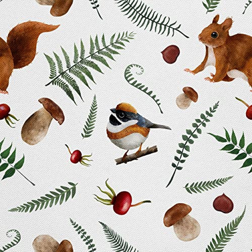 HEKO PANELS Stoff Oxford Wasserdichte Meterware Canvas-Stoff Polyester Stoff Zum Nähen Nähstoffe Dekostoffe Wasserabweisend Blickdicht Eichhörnchen Vögel 1 Meter 155 x 100 cm, DX1334