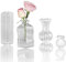 MIUPOO Sehr Kleine Vase,Mini Kleine Glasvasen Blumenvasen Mini Vasen Set für Tischdeko Tafelaufsätze Hochzeitsdeko Wohnzimmer Couchtisch Badezimmer,5cm,4 Stück Unterschiedliche Vasen