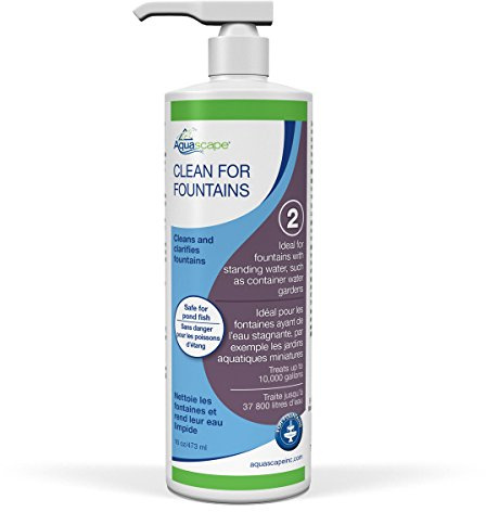 Aquascape CLEAN Water Treatment for Fountains, Waterfalls, Container Water Gardens and Other Features with Standing Water, Promotes Clean and Clear Water Conditions, 16 ounce / 473-ml | 96078