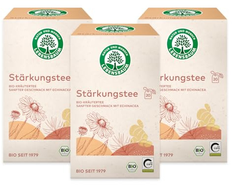 LEBENSBAUM Bio Tee 3 x Stärkungstee, Kräutertee Beutel, mit Echinacea, grüner Rooibos & Ingwer, 3er Set, 3 x 20 Teebeutel x 1,5 g