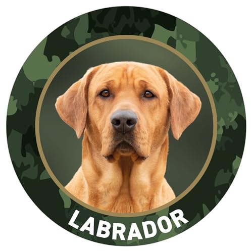 Labrador - Jagdhund Premium Hunde Aufkleber, Sticker für Auto, Pkw, Kfz, Kofferraum oder Autoscheibe - mit Hunde und Jagdhundemotiven, Ø 10 cm von Wilde Hilde Original
