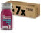 Kloster Kitchen Bio Vitamin Shot Beere Acai 1SHOT 7x 30 ml mit echten Ingwerstückchen I Ingwer Shot vegan in der To Go Glasflasche I süß-scharf ohne Zusatzstoffe & mit natürlicher Süße