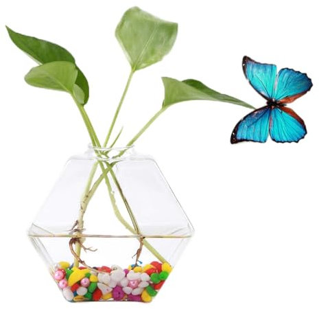 WGFOIP Jarrón de Cristal para Plantas, Decoración de Contenedores de Acuario Hidropónico para Colgar en la Pared, Combinación Rocas Blancas para Bodas, Duchas, (Maleficio)