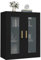 Hängeschrank Küchenschrank Hängeschrank Vitrine Küche Wohnzimmer Büro Aufbewahrungsschrank Schwarz 69,5x34x90cm