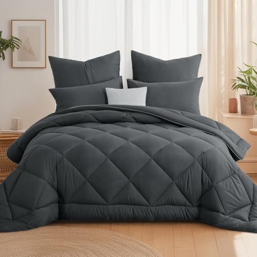 Aisbo Bettdecke Ohne Bezug 240x220 cm Ganzjahresdecke 300GSM - Anthrazit Steppdecke 220 x 240cm 4 Jahreszeiten, Grau Decke 220x240 Weiche und Bequeme, Oberbett ohne Kissen