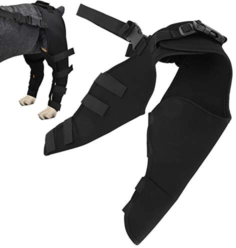 Jeanoko Rodilleras elásticas para s Rodilleras Ajustables para Mascotas Fuerte Estabilidad Protector de Patas traseras para s para recuperar Patas lesionadas o enfermas(M)