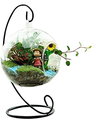 Pulabo Pot de fleurs en verre transparent de qualité supérieure à suspendre pour plantes succulentes, cactus, plantes succulentes, boules, bougies chauffe-plats