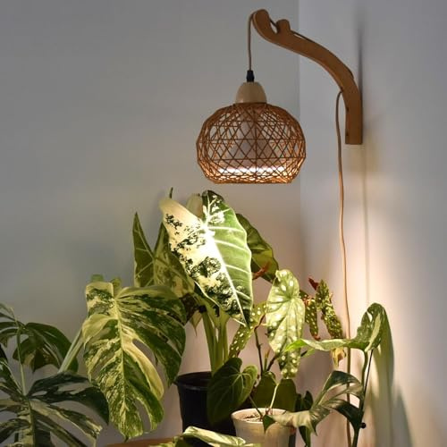 Bstrip Wand-Pflanzenlampe mit Boho-Rattanschirm, 18W, 3800K | Pflanzenspektrum, 3m Kabel, Wandmontage, hängendes Pflanzenlicht für hohe Zimmerpflanzen und Innenräume