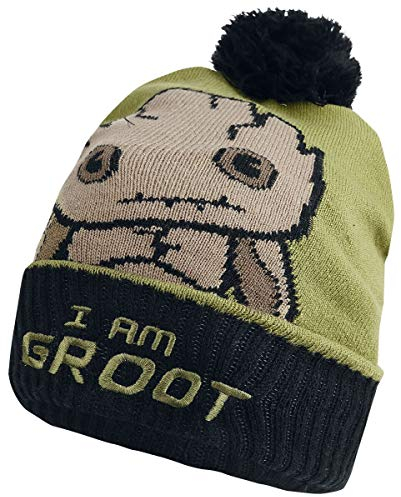 GUARDIANS OF THE GALAXY Groot Kawaii Art Beanie Mütze Mehrfarbig