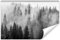 Wallepic Fototapete Wald Nebel 90 x 135 cm Vlies Wand Tapete Bäume Natur Schwarz-Weiß Vliestapete Wohnzimmer Schlafzimmer Bäume Natur Moderne Wandbild