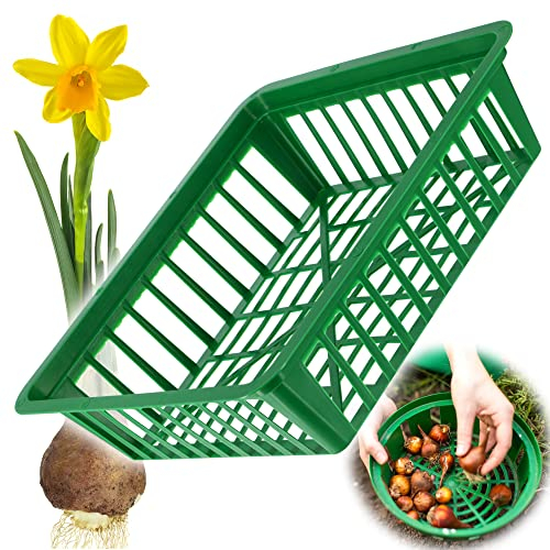 KADAX Pflanzkorb für Blumenzwiebeln, Anzuchtskorb aus Kunststoff, Anzuchtsschale für Gemüsepflanzen, Blumenzwie-belkorb in 2 Formen für Frühjahrsblüher (28x26cm, 1 Stück)