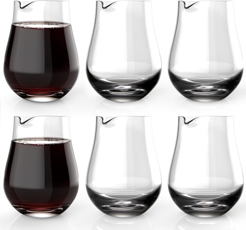 NUTRIUPS Set di 6 mini caraffe singole (200 ml/pz) mini caraffa per vino singola in vetro per porzione singola caraffa in vetro mini caraffa decanter per vino singolo