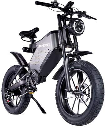 RECEGARA Electric Bicycle,48V 25AH Off-Road EBIKE for Adults with Detachable Lithium Ion Battery, 20 inch Moutain bike with Dual Hydraulic Disc Brake and Forged Mags Wheel
