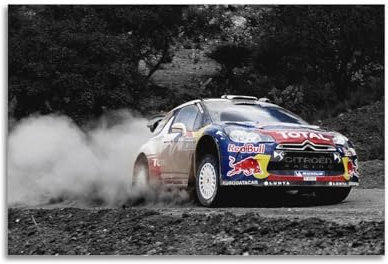 YTNSA WRC Rallye-Renn-Poster, DS3, WRC-Rennwagen-Poster, dekoratives Gemälde, Leinwand, Wandposter und Kunstdruck, moderne Familienschlafzimmer-Dekoration, Poster, 50 x 75 cm