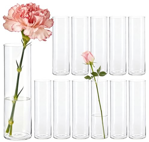 Der Rose Kleine Vasen für Tischdeko 15cm Zylinder Vasen Set Modern Blumenvase für Home Hochzeit Party Deko 12 Stück