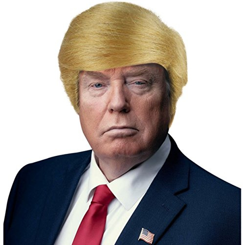 Blonde USA President Halloween Fancy Dress Wig