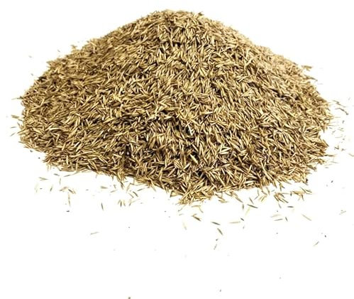 Front Lawn Grass Seed 2kg Ryegrass Free Fine (Covers 40 Square metres)
