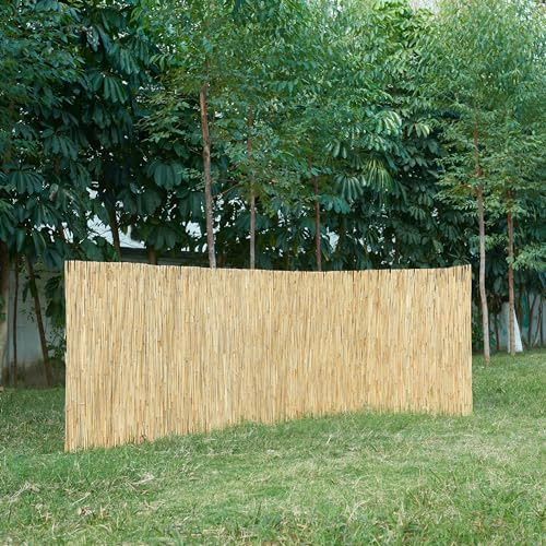 casa.pro Schilfrohrmatte Abbateggio 100 x 300 cm Sichtschutz Balkon Schilfzaun Garten Schilfmatte Balkonverkleidung Gartenzaun