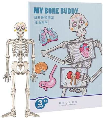 Human Body Puzzle, Anatomy Set, Körperteile Puzzle, Organ Puzzle Spielzeug, Skeleton und Bone Toy, Muskeln und Skeleton Puzzle, Lernpuzzle für Kinder