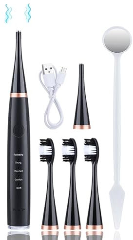 Détartrage Ultrasonique - Brosse à Dents Électrique 5 Modes : Giratoire contre Tartre et Plaque - Pack Premium avec 3 Têtes + Miroir Dentaire (Noir, L)