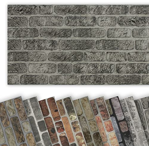 HEXIM Wandverkleidung in Steinoptik EPS Styropor Paneele - 1000x500 mm 3D Paneele Wärmedämmung (0,5m² WP1006) Steintapete Dekoration Betonoptik