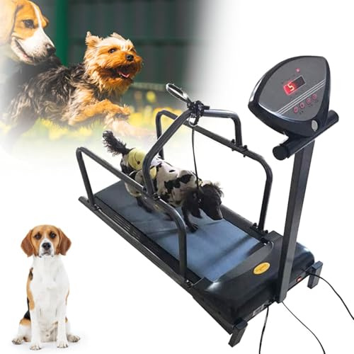 Laufband für Hunde mit LCD-Display für Indoor-Übungen und Training