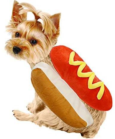 Cikonielf Vestito da Hot Dog per Cani e Gatti - Costume Divertente (M)