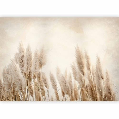 murando PREMIUM Papier peint Herbe de la pampa 350x256 cm Décoration Murale XXL Poster Tableaux Muraux Tapisserie Photo Trompe l'oeil Natur Champ Prairie b-A-10095-a-a