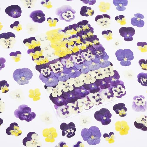 60 Stück Stiefmütterchen getrocknete gepresste Blumen zum Basteln, Xinxinran Trockenblumen-Set für Kuchendekoration, Harzformen, Lesezeichen, Schmuckformen, Kerzenherstellung, Seife, Rahmen (8 Farben)