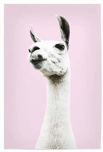 artboxONE Poster 45x30 cm Lama & Alpaka Tiere Pink Llama hochwertiger Design Kunstdruck - Bild Llama Animal Animals
