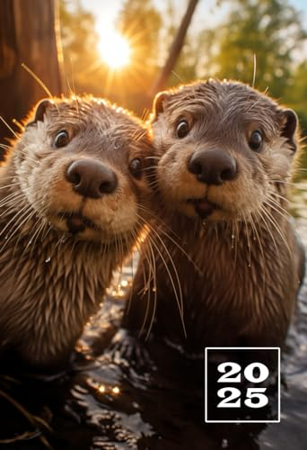 2025: A6 Wochentaschenkalender | 1 Woche auf 2 Seiten Terminplaner | Buchkalender im Mini Format | Niedliche Otter Kalender | Jahresplaner ... | Agenda Planer Klein & Kompakt