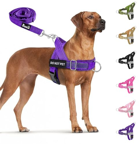 Eyein Hundegeschirr für große Hunde mit Leine, Fleece-gepolstert | Anti-Zug Brustgeschirr mit 2 D-Ringen für Training & Spaziergänge, reflektierend, verstellbar an Hals & Brust (Lila, L)