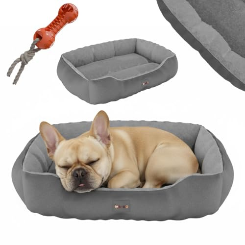 BENNO® Hundebett Sammy quadratisch 65x50x16 cm, Polyester mit Polypropylen-Füllung, maschinenwaschbar, Rutschfester Boden, inkl. Kauknochen - gemütlicher Schlafplatz für Hunde, anthrazit