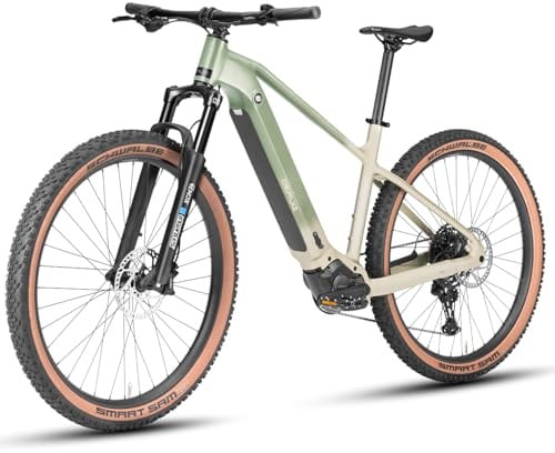 DERUIZ Dolomit E-Bike 29 Zoll Herren Damen Elektrofahrrad mit Scheibenbremse 11 Gänge, 250W 110Nm Mittelmotor, 48V 720Wh Akku, Reichweite bis zu 180 KM (Green, M:40CM)