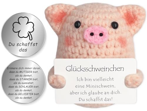 Tixlux Pocket Hug Glücksschweinchen, Kreative Strickwolle Minischwein Puppe und Kleine Umarmung Glücksbringer (Silber Ⅰ), Mutmacher Geschenk, Gute Besserung Geschenk, Geschenk zum Schulabschluss
