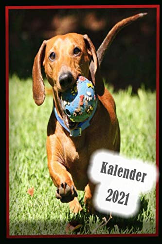 Kalender 2021: Buch Kalender / Terminkalender 2021 zum Planen, Organisieren und Notieren.